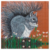 Ventilatoreekhoorn Stof (Close Up)