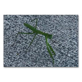 Ventilatoren, bidsprinkhaankreeften, leeskaarten kaart