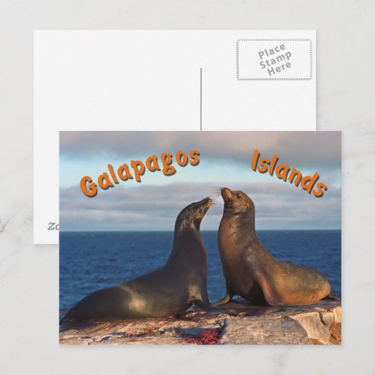 Ventilatoren Briefkaart (Voorkant / Achterkant)