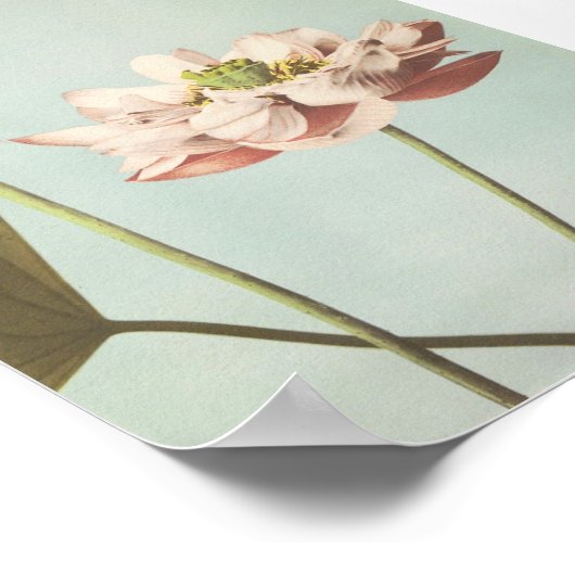 ventilatorfoto poster (Hoek)