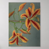  ventilatorfoto poster (Voorkant)