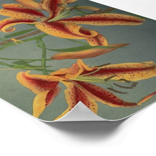  ventilatorfoto poster (Hoek)