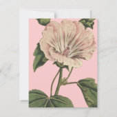 ventilatorillustratie kaart (Achterkant)