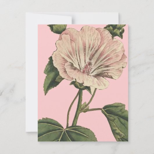  ventilatorillustratie kaart (Achterkant)