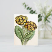   ventilatorillustratie "Polyanthus" Briefkaart (Staand voorkant)