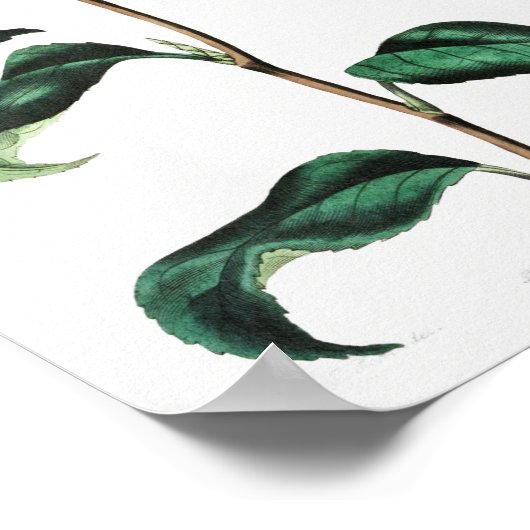 ventilatorillustratie poster (Hoek)