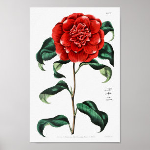ventilatorillustratie poster