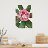  ventilatorillustratie poster (Keuken)