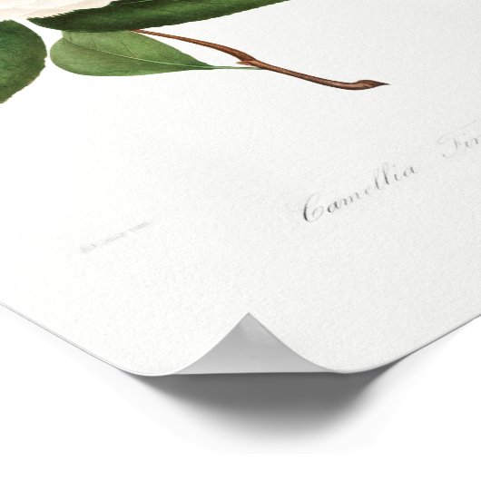  ventilatorillustratie poster (Hoek)