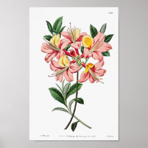 ventilatorillustratie poster