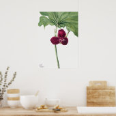 ventilatorillustratie poster (Keuken)