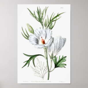  ventilatorillustratie poster