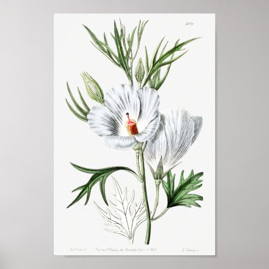  ventilatorillustratie poster (Voorkant)