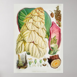  ventilatorillustratie poster