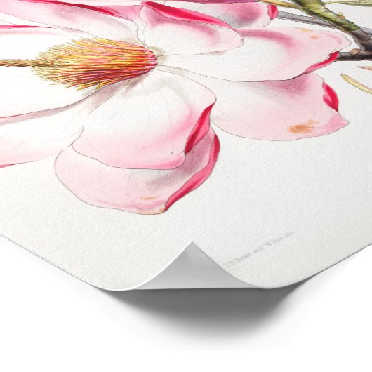 ventilatorillustratie poster (Hoek)