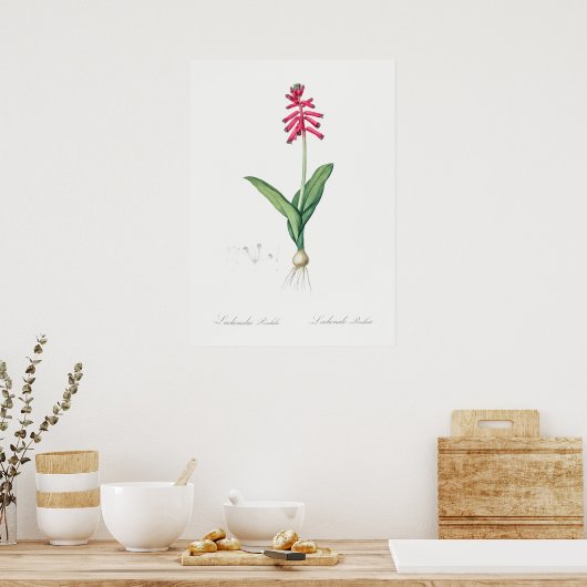  ventilatorillustratie poster (Keuken)