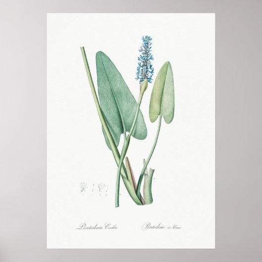  ventilatorillustratie poster (Voorkant)