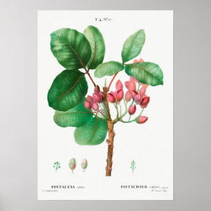 ventilatorillustratie poster