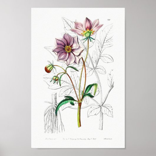 ventilatorillustratie poster (Voorkant)