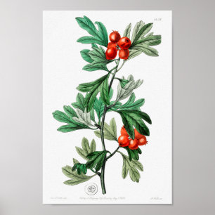 ventilatorillustratie poster