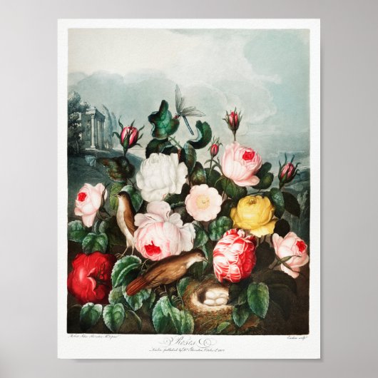 ventilatorillustratie poster (Voorkant)