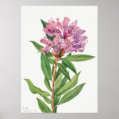 ventilatorillustratie poster (Voorkant)