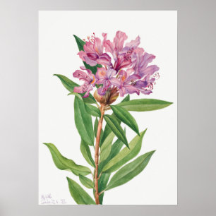 ventilatorillustratie poster