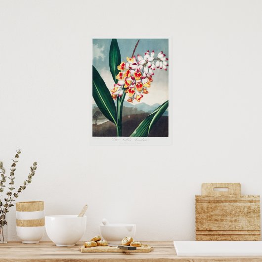  ventilatorillustratie poster (Keuken)