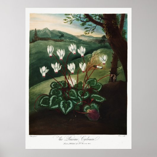  ventilatorillustratie poster (Voorkant)