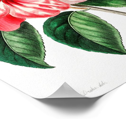  ventilatorillustratie poster (Hoek)