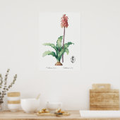  ventilatorillustratie poster (Keuken)