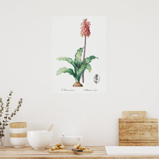  ventilatorillustratie poster (Keuken)