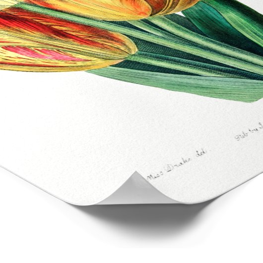  ventilatorillustratie poster (Hoek)