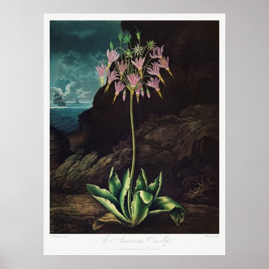  ventilatorillustratie poster (Voorkant)