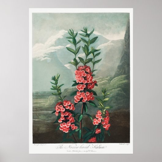  ventilatorillustratie poster (Voorkant)