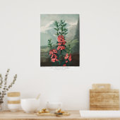  ventilatorillustratie poster (Keuken)