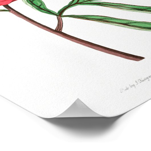  ventilatorillustratie poster (Hoek)