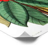  ventilatorillustratie poster (Hoek)