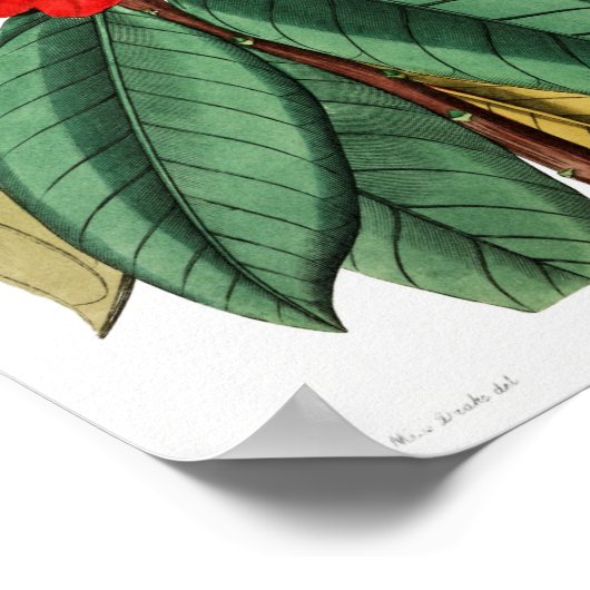  ventilatorillustratie poster (Hoek)