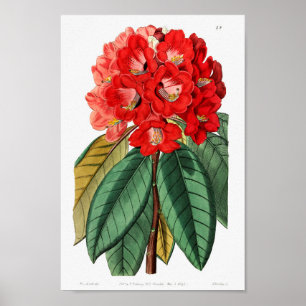  ventilatorillustratie poster