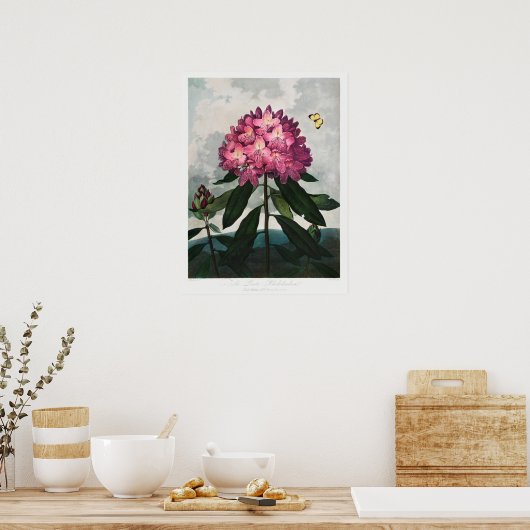 ventilatorillustratie poster (Keuken)
