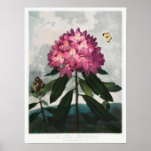 ventilatorillustratie poster (Voorkant)