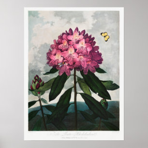  ventilatorillustratie poster