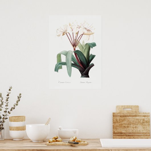  ventilatorillustratie poster (Keuken)