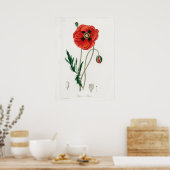  ventilatorillustratie poster (Keuken)