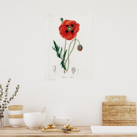  ventilatorillustratie poster (Keuken)