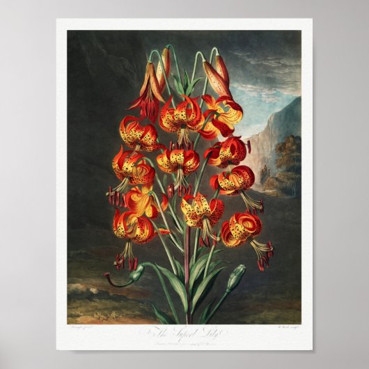  ventilatorillustratie poster (Voorkant)