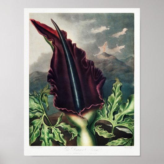  ventilatorillustratie poster (Voorkant)