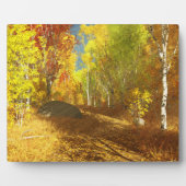 Ventilatorlicht Afbeelding Plaque Fotoplaat (Voorkant)