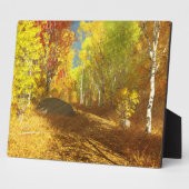 Ventilatorlicht Afbeelding Plaque Fotoplaat (Zijkant)